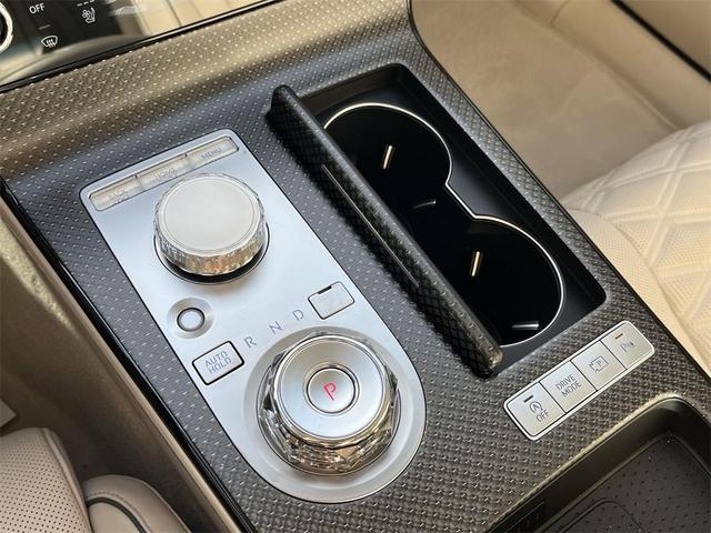 Photo of 2025 Vik Black Genesis G80