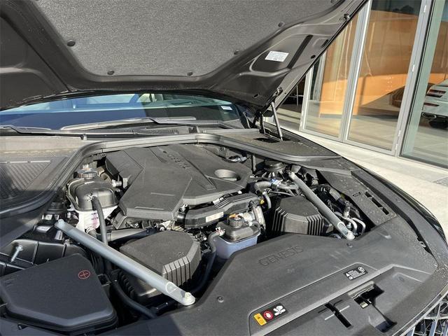 Photo of 2025 Vik Black Genesis G80