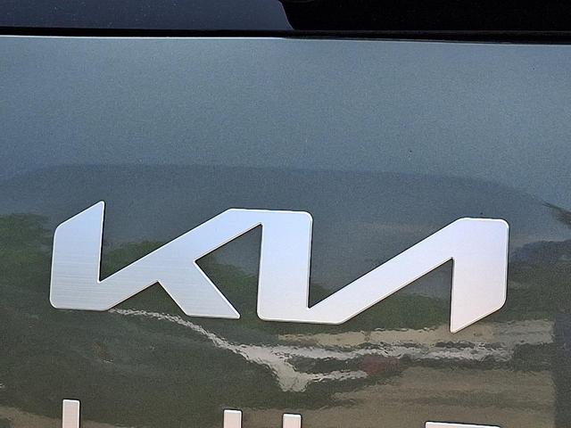 Photo of 2024 Jungle Green Kia Telluride