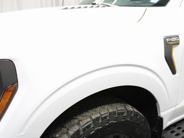 Photo of 2024 Oxford White Ford F-150