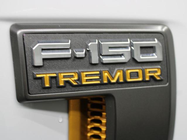 Photo of 2023 Avalanche Ford F-150