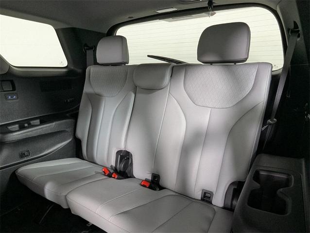 Photo of 2020 Rainforest Hyundai PALISADE