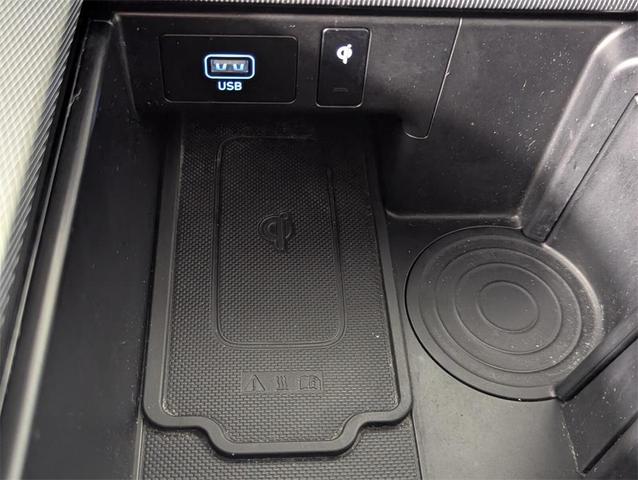 Photo of 2020 Rainforest Hyundai PALISADE