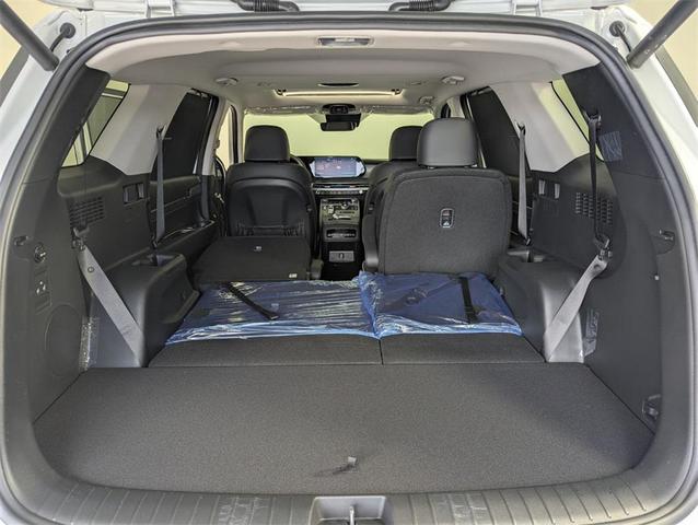 Photo of 2025 Hyper White Hyundai PALISADE
