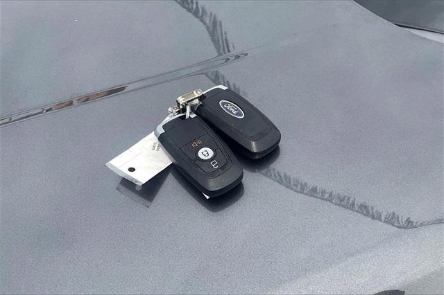 Photo of 2020 Magnetic Ford Edge