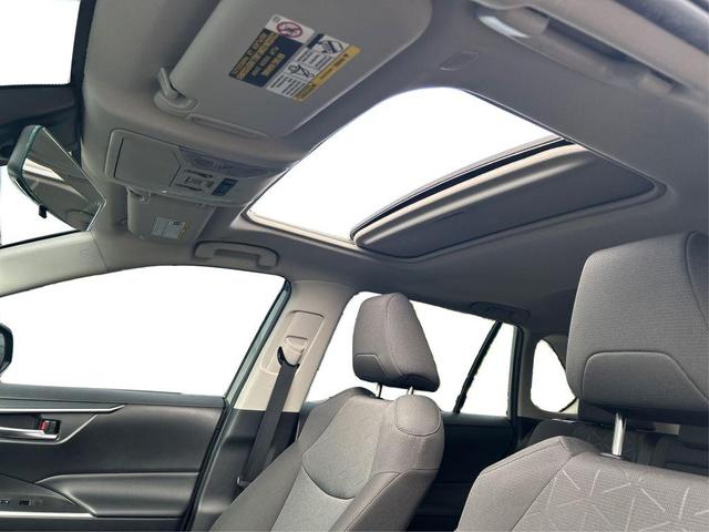 Photo of 2023 Lunar Rock Toyota RAV4