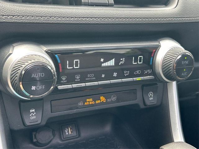 Photo of 2023 Lunar Rock Toyota RAV4