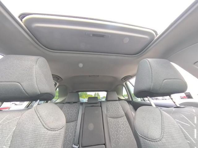 Photo of 2023 Lunar Rock Toyota RAV4