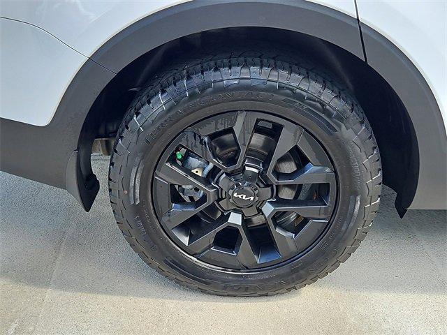Photo of 2023 Glacier White Kia Telluride