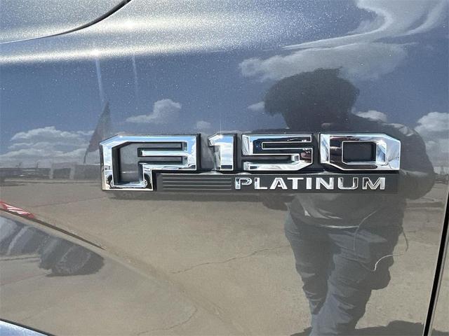Photo of 2018 MAGNETIC Ford F-150