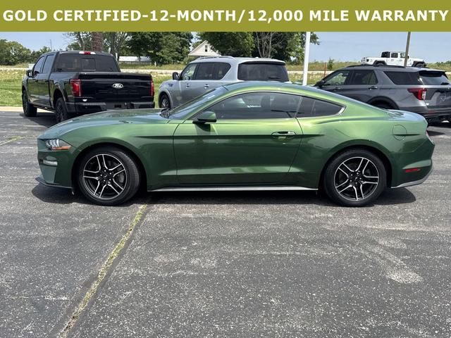 Photo of 2023 ERUPTION GREEN Ford Mustang