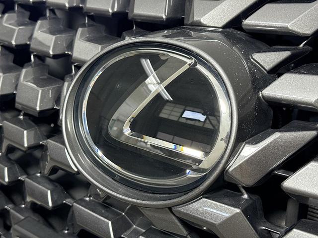 Photo of 2023 Black Lexus GX 460