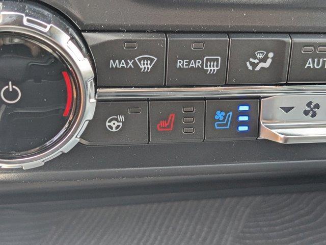 Photo of 2025 Avalanche Ford F-250