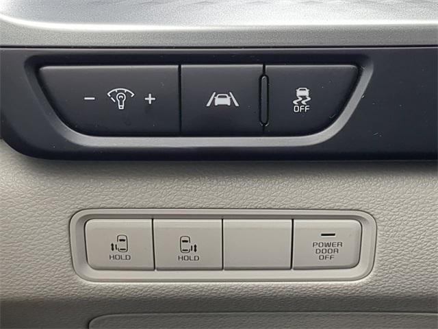 Photo of 2024 Panthera Metal Kia Carnival