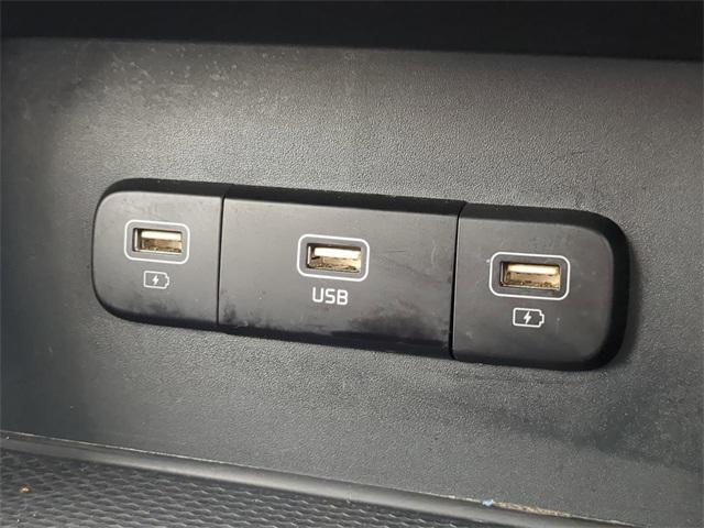 Photo of 2024 Panthera Metal Kia Carnival