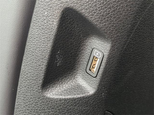Photo of 2024 Panthera Metal Kia Carnival