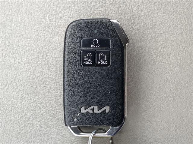 Photo of 2024 Panthera Metal Kia Carnival