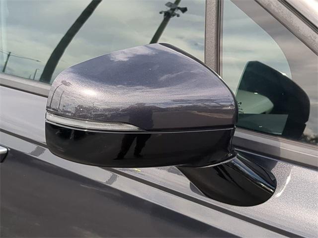 Photo of 2024 Panthera Metal Kia Carnival
