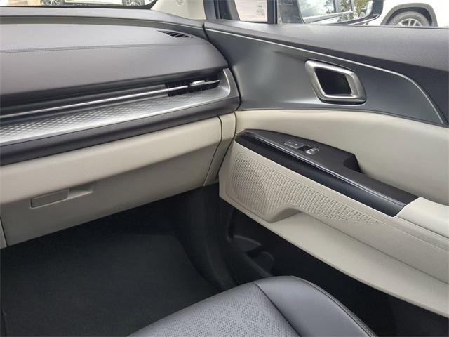 Photo of 2024 Panthera Metal Kia Carnival