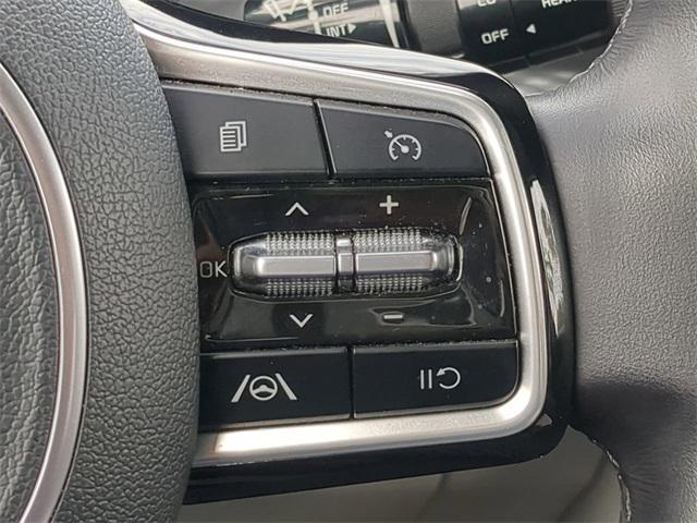 Photo of 2024 Panthera Metal Kia Carnival