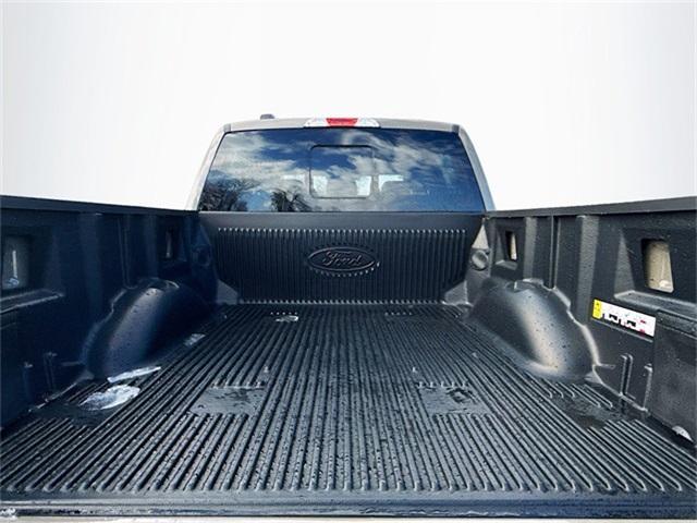 Photo of 2025 Gray Ford F-150