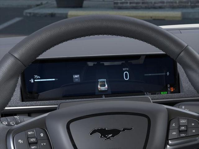 Photo of 2025 Eruption Green Metallic Ford Mustang Mach-E