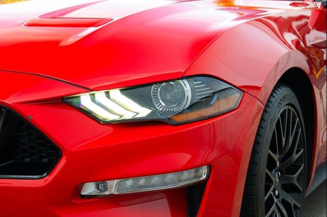 Photo of 2019 Race Red Ford Mustang
