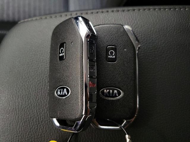 Photo of 2021 Red Kia Soul