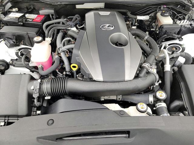 Photo of 2019 White Lexus IS 300