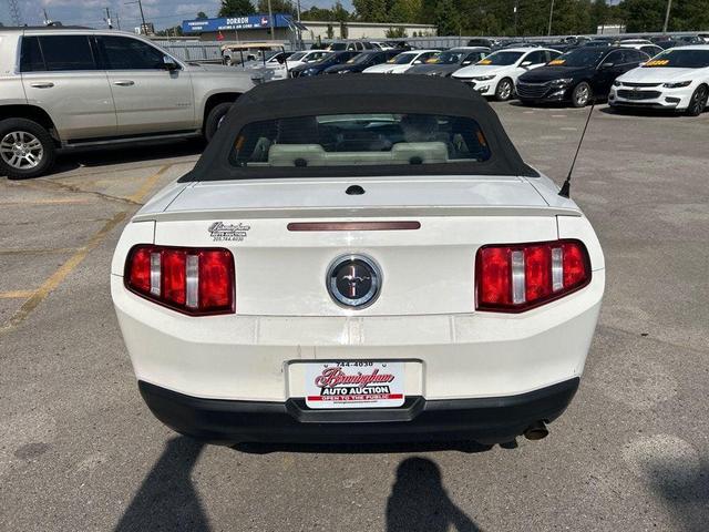Photo of 2010 Performance White Ford Mustang