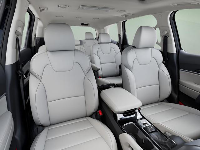Photo of 2025 Panthera Metal Kia Telluride