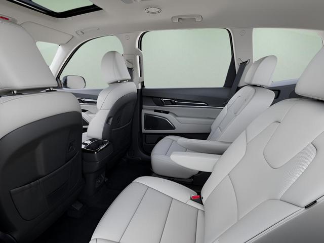 Photo of 2025 Panthera Metal Kia Telluride