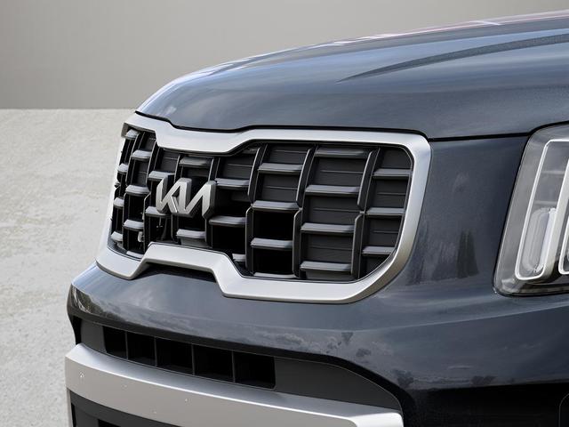 Photo of 2025 Panthera Metal Kia Telluride