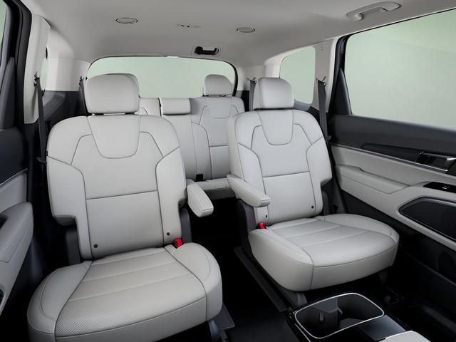 Photo of 2025 Panthera Metal Kia Telluride