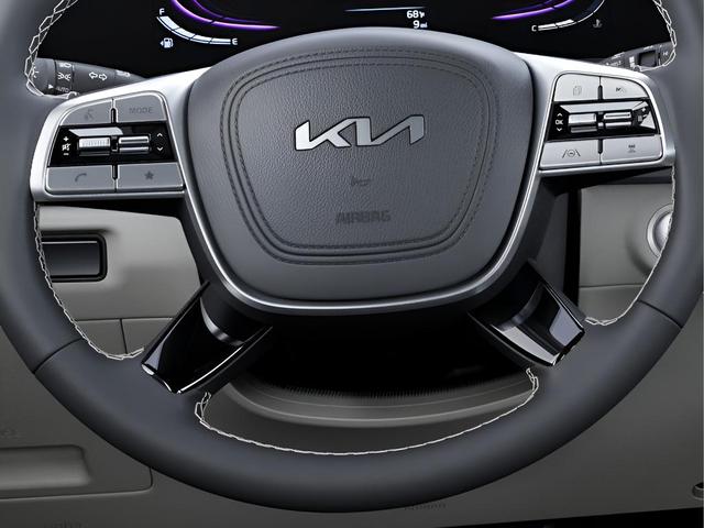 Photo of 2025 Panthera Metal Kia Telluride