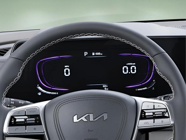 Photo of 2025 Panthera Metal Kia Telluride