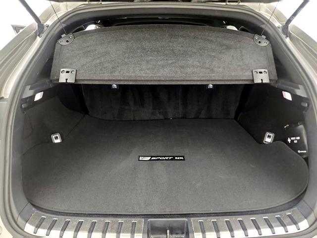 Photo of 2020 Silver Lexus NX 300