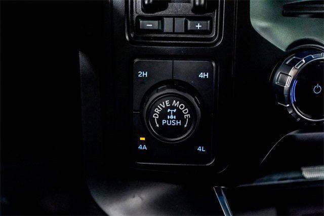 Photo of 2024 Shelter Green Ford F-150
