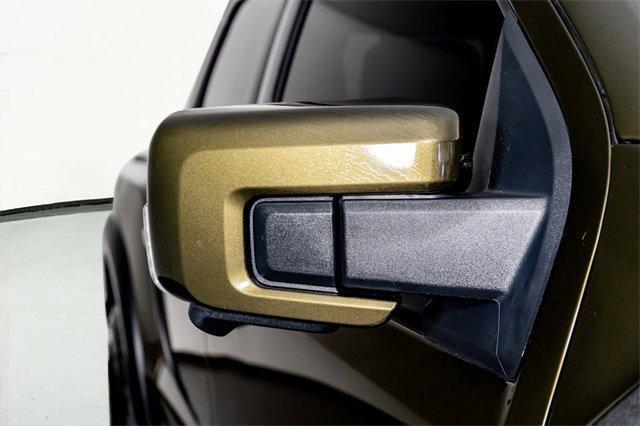 Photo of 2024 Shelter Green Ford F-150
