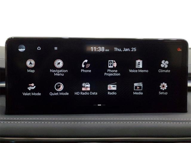 Photo of 2024 Vik Black Genesis G70