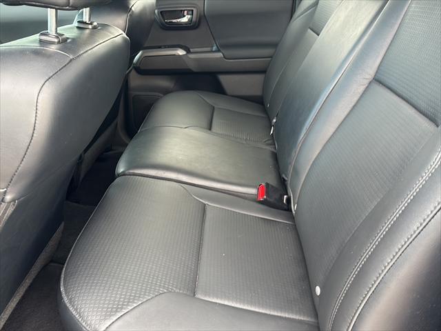 Photo of 2023 Blue Toyota Tacoma