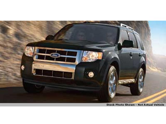 2010 Ford Escape