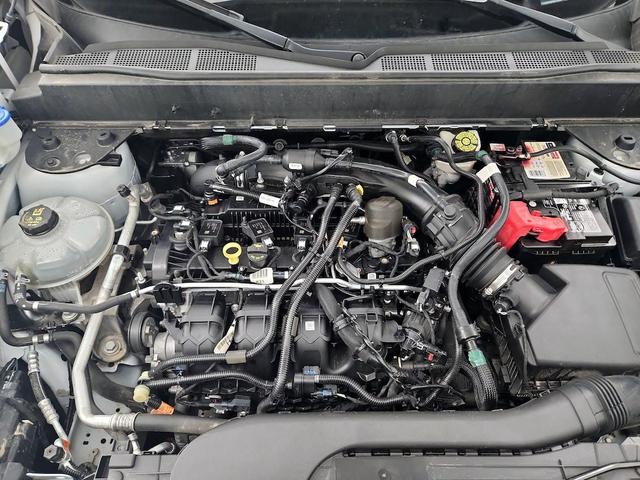 Photo of 2022 White Ford Maverick
