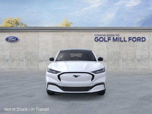 Photo of 2025 Star White Ford Mustang Mach-E