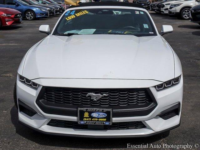 Photo of 2024 Oxford White Ford Mustang