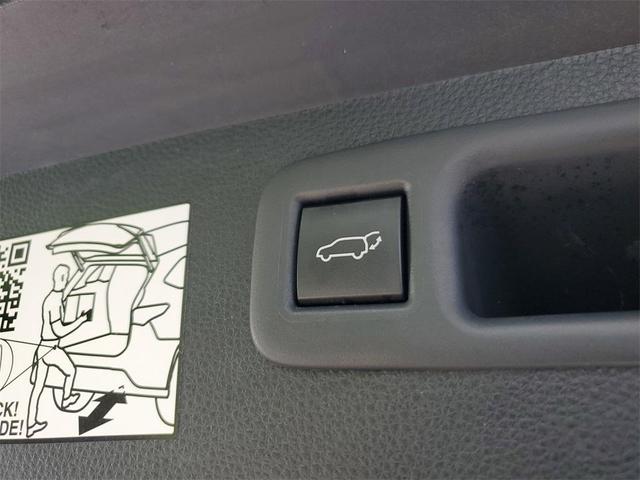 Photo of 2022 Moon Dust Toyota Highlander