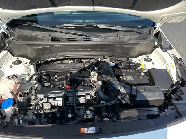 Photo of 2024 Clear White/Black Roof Kia Seltos