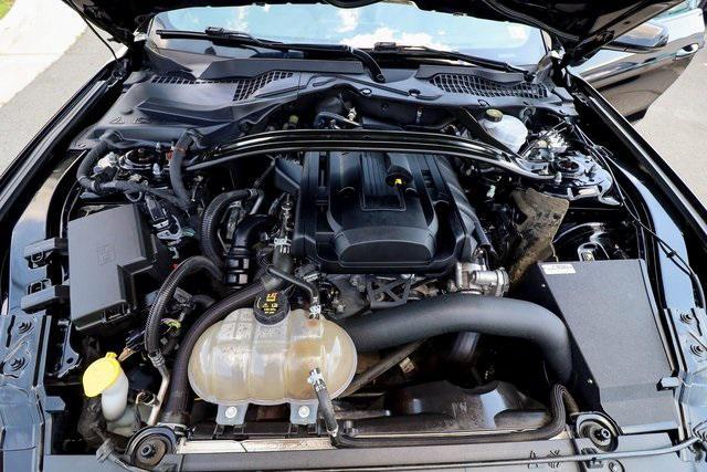 Photo of 2019 Shadow Black Ford Mustang