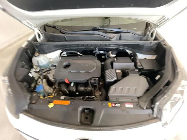 Photo of 2019 Clear White Kia Sportage