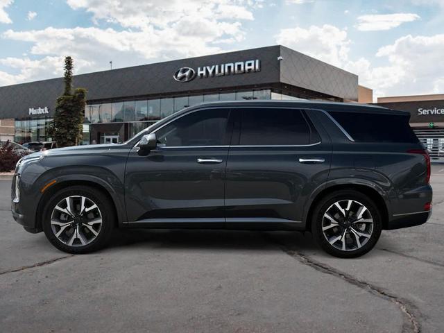 Photo of 2022 Rainforest Hyundai PALISADE